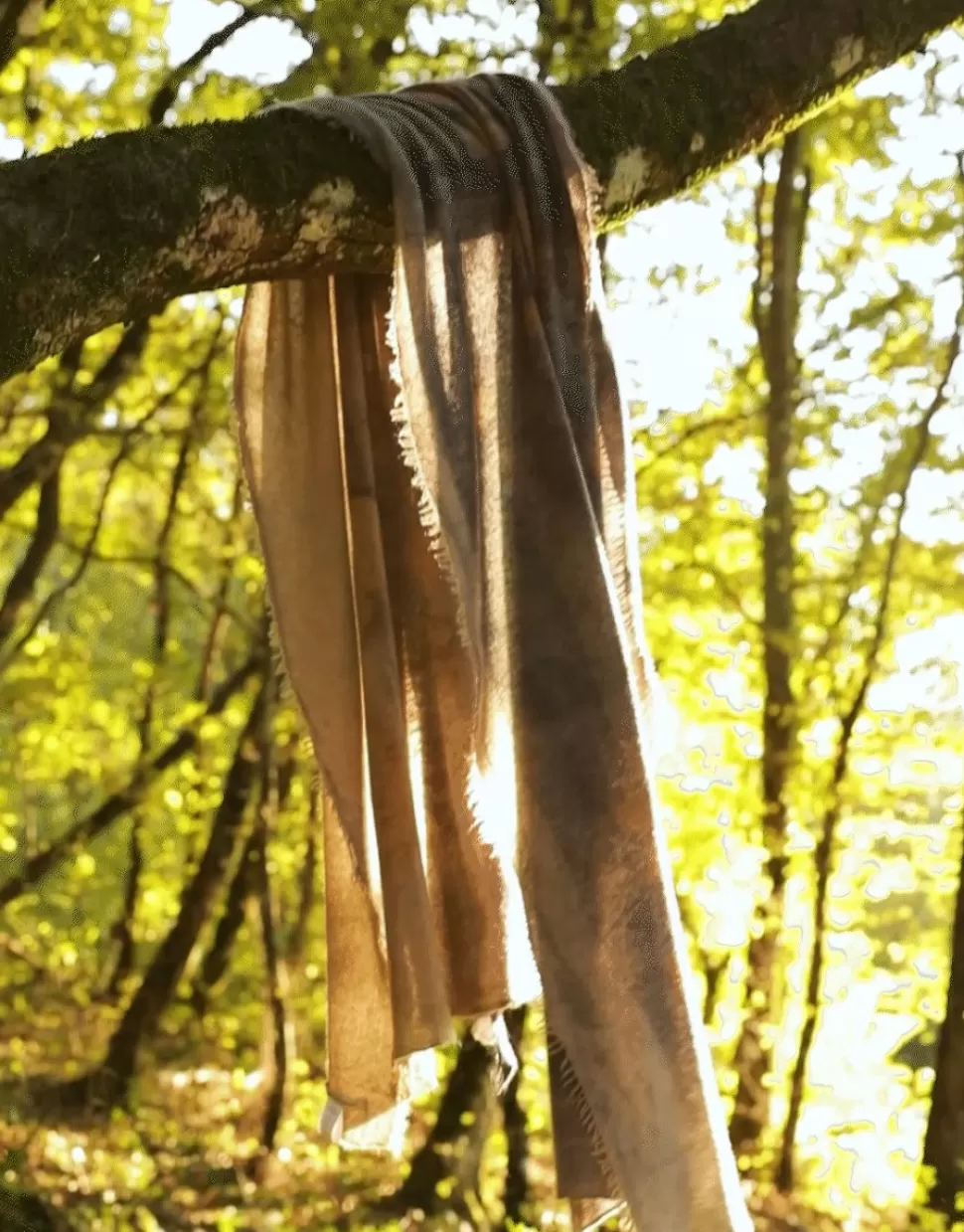 Faliero Sarti Sciarpe>Stola In Puro Cashmere Con Stampa Floreale Realizzata Artigianalmente - Adriel N